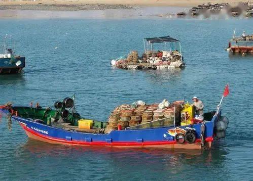 港城船王家来了个小福星,好运连连开启新篇章