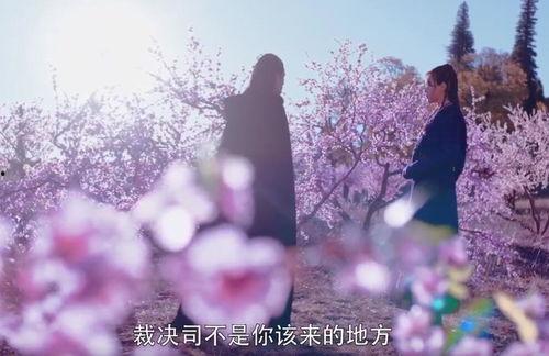 万般痴情终错付,万般无奈终成空